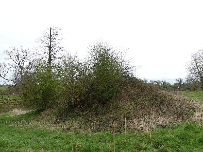 File:Eccleston Motte 03.jpg