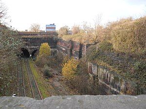 Eastern portal in the Cavendish Cutting today. The tunnel is the middle portal of three. The portal to the right is obscured by undergrowth.