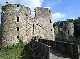 Château de Ranrouët