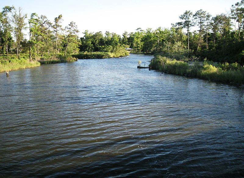 File:Henderson Bayou.JPG