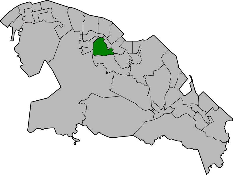 File:HingTungConstituency.svg