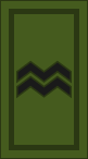 File:Ireland-Army-OR-4 camo.svg