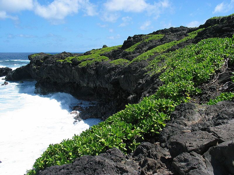 File:Kipahulu coast.jpg