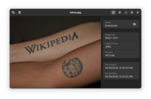 alt=A screenshot of Loupe in GNOME 45 displaying a Wikimedia Commons image. On the right side of the window, the file's parent folder, metadata, and creation/modification dates are shown. The image within the program has two arms of differing skin tones, with the lighter having the full-text logo of Wikipedia and the darker with the Wikipedia globe.