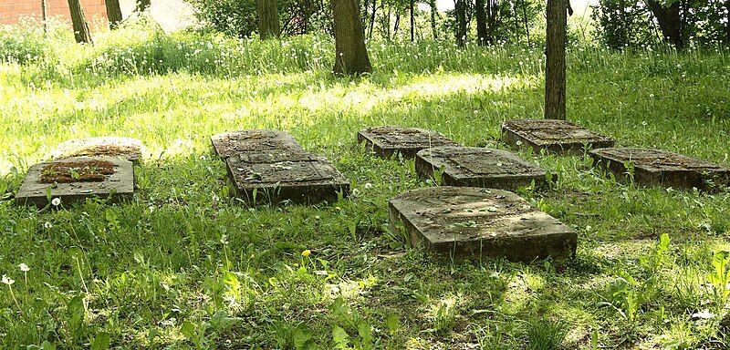 File:Opatow Jewish Cemetery.jpg