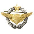 Parachutist Badge