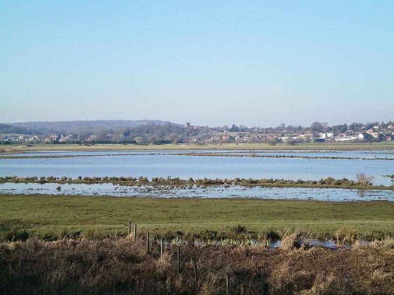 File:Pulborough Brooks.JPG