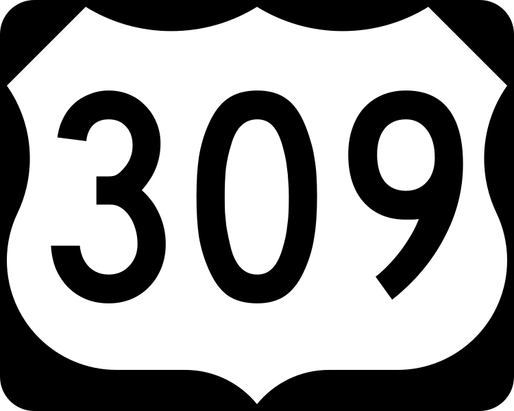 File:US 309.svg