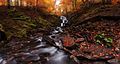 Image 7Waterfall Shypit (height 14 m), Mizhhiria Raion, Zakarpattia Oblast of western Ukraine