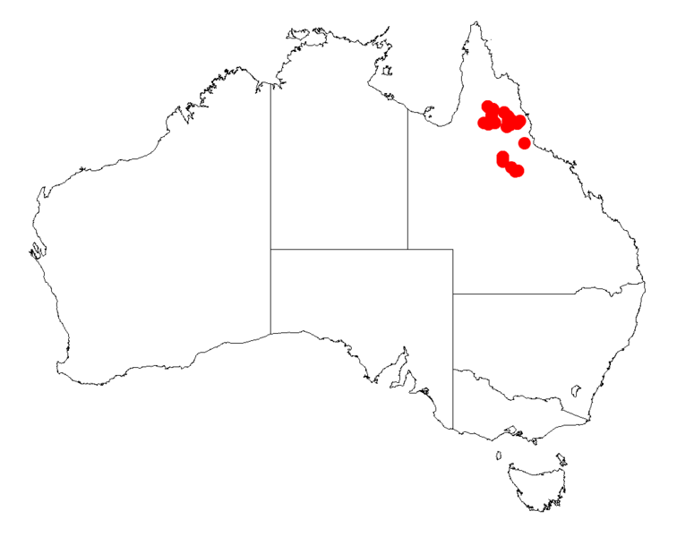 File:Acacia meiospermaDistMap586.png