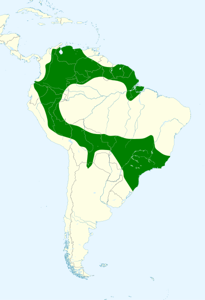 File:Anoura caudifer map.svg