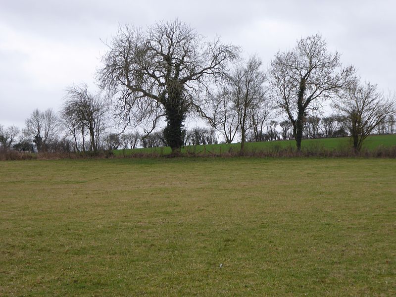 File:Boddington Meadow 2.jpg