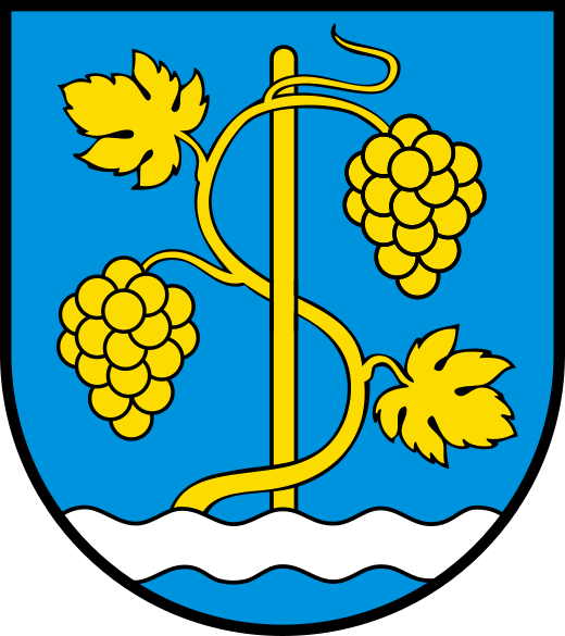 File:CHE Schinznach COA.svg