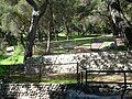 Southwest view of picnic area