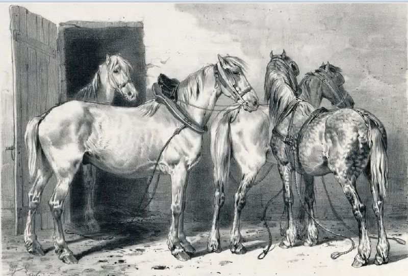 File:Chevaux berrichons.jpg