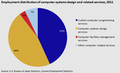 U.S. Employment distribution of computer systems design and related services, 2011[59]