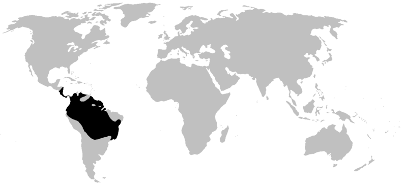 File:Dendrobatidae range.PNG