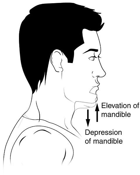 File:Elevation and Depression.jpg