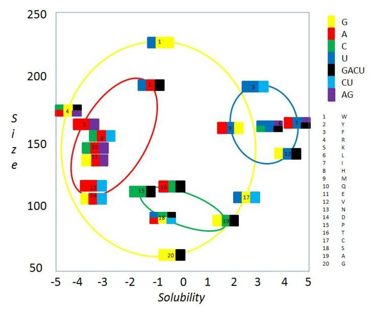 File:Elliptical Genetic Code.JPG