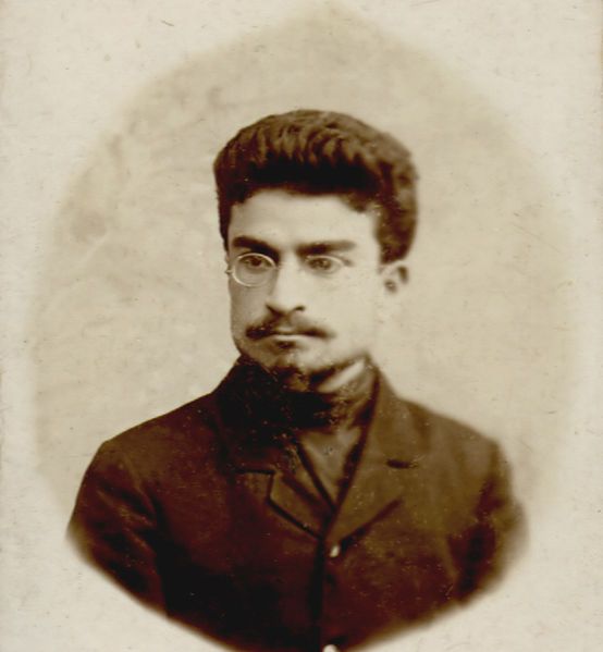 File:Ivane Beritashvili.jpg