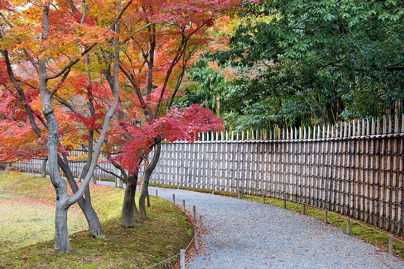 File:Katsura Rikyu (3264753682).jpg