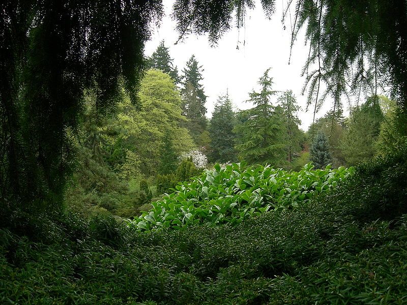 File:Kubota Garden 01.jpg