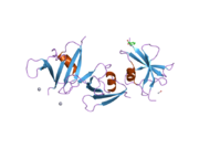 1wsp: Crystal structure of axin dix domain