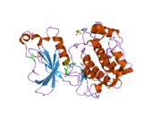 1zrz: Crystal Structure of the Catalytic Domain of Atypical Protein Kinase C-iota