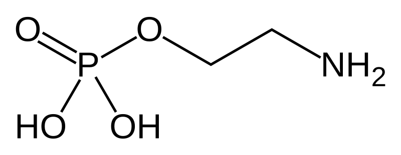 File:Phosphorylethanolamine.svg