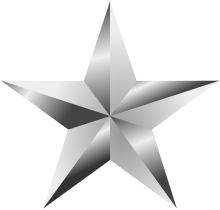 File:Ribbonstar-silver.svg