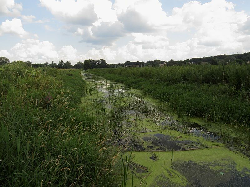 File:Rokach river2.JPG