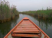 A boat traversing the Shadegan International Wetlands