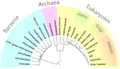 Another tree I tried making, currently used in Genetics article