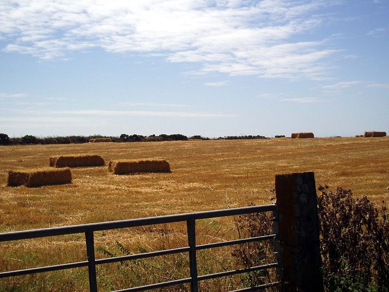 File:StBuryanFarmland01.jpg