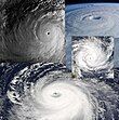 A collage of tropical cyclones: Kate, Tip, Isabel, and Gafilo