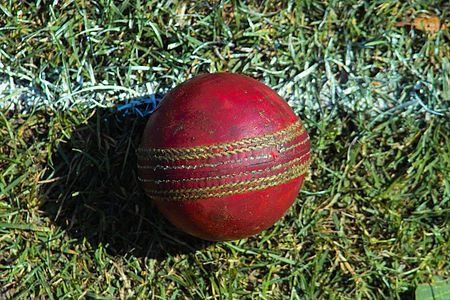 A used cricket ball