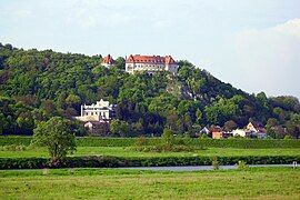 Przegorzały Castle