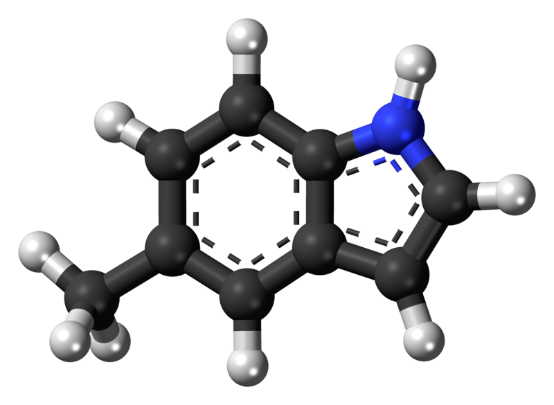 File:5-Methylindole-3D-balls.png