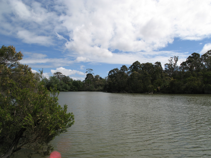 File:Blackburn Lake South.PNG