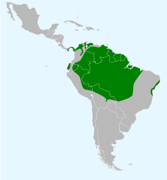 File:Cacicus cela map.svg