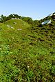 November 2nd The green roof of the California Academy of Sciences