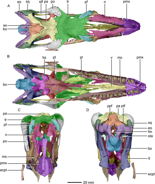 File:Chapelle-etal-2018-fig-3-full.png