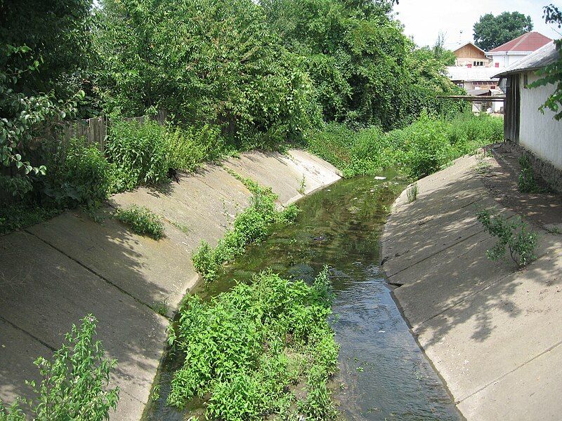 File:Dragomirna River.jpg