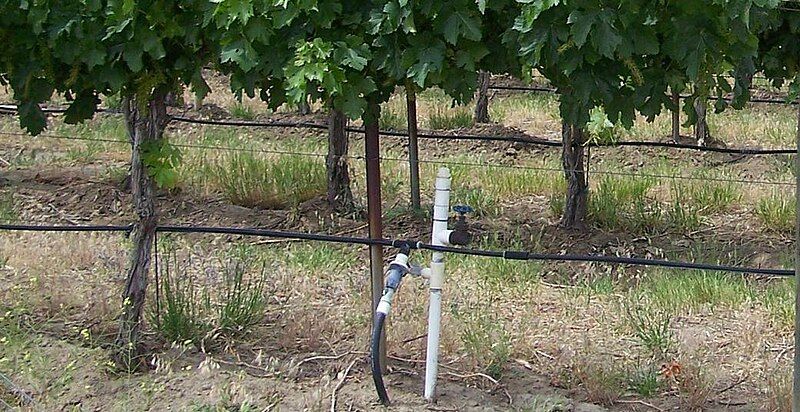 File:Drip irrigation system.JPG