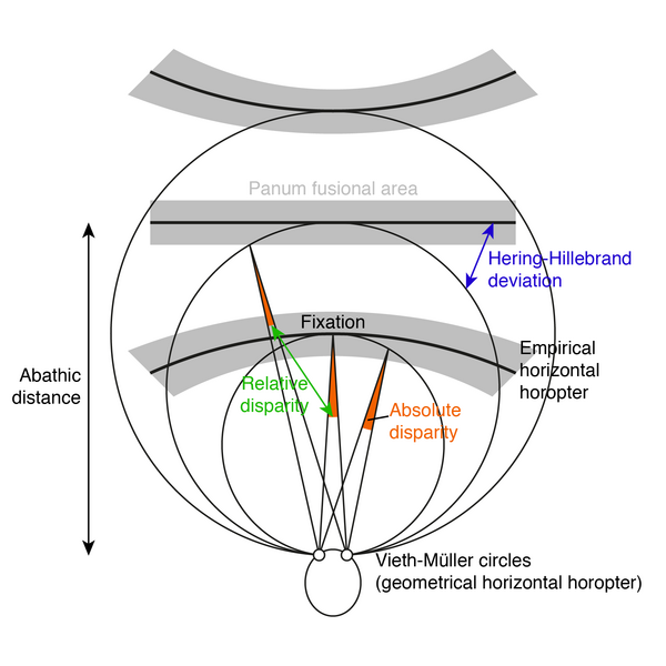 File:Horopters.png