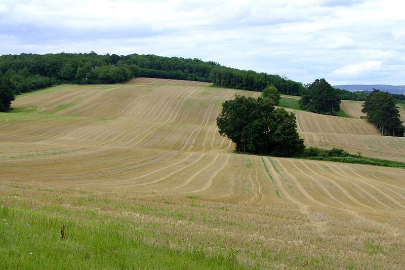 File:Karnabrunn Kreisgrabenanlage.jpg