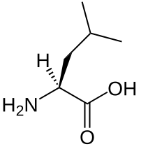 File:L-leucine-skeletal.svg