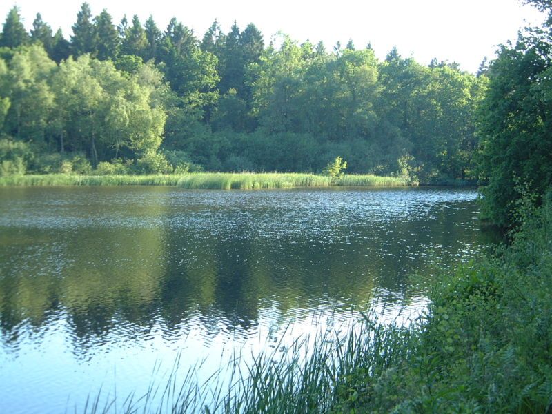 File:Meezen teich waldhuetten.jpg