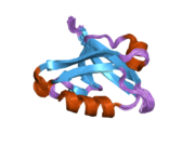 2dc2: Solution Structure of PDZ Domain