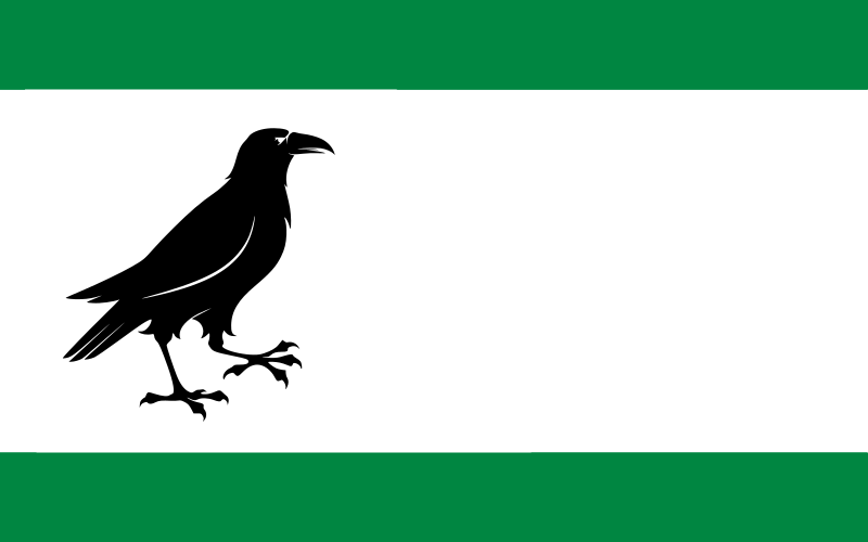 File:POL Wronki flag.svg